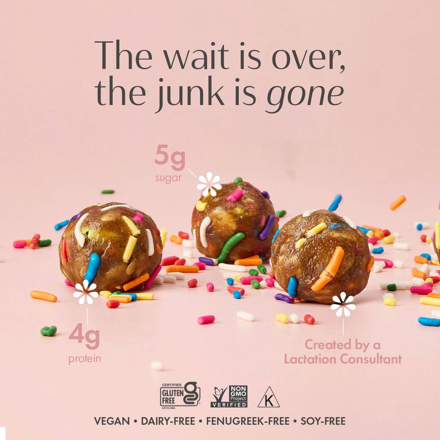 Lactation Cookies (Free from Gluten, Soy, Dairy-5g sugar)