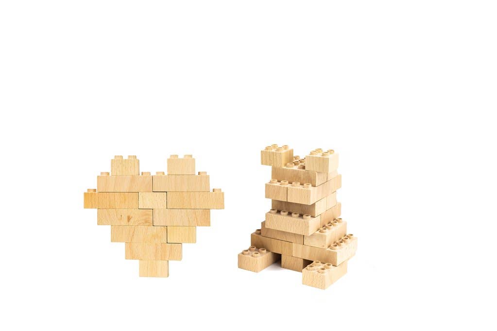 Eco-bricks™ PLUS 20 Piece