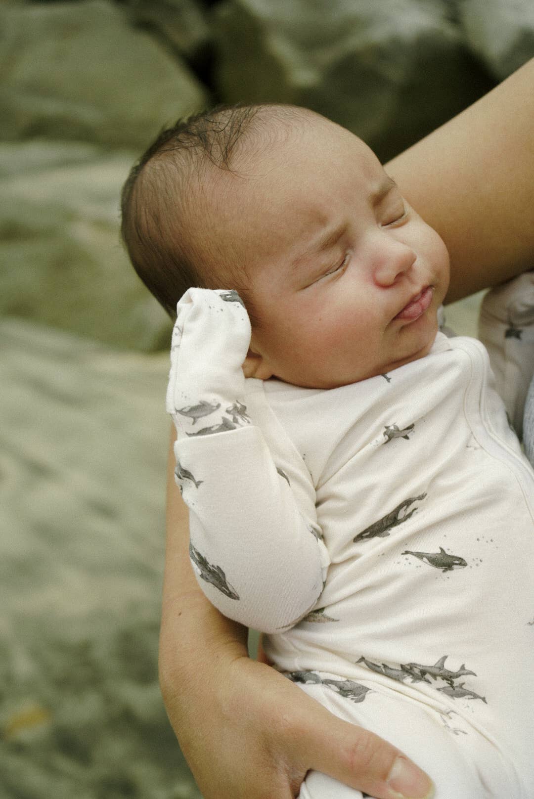 Orca Sleeper