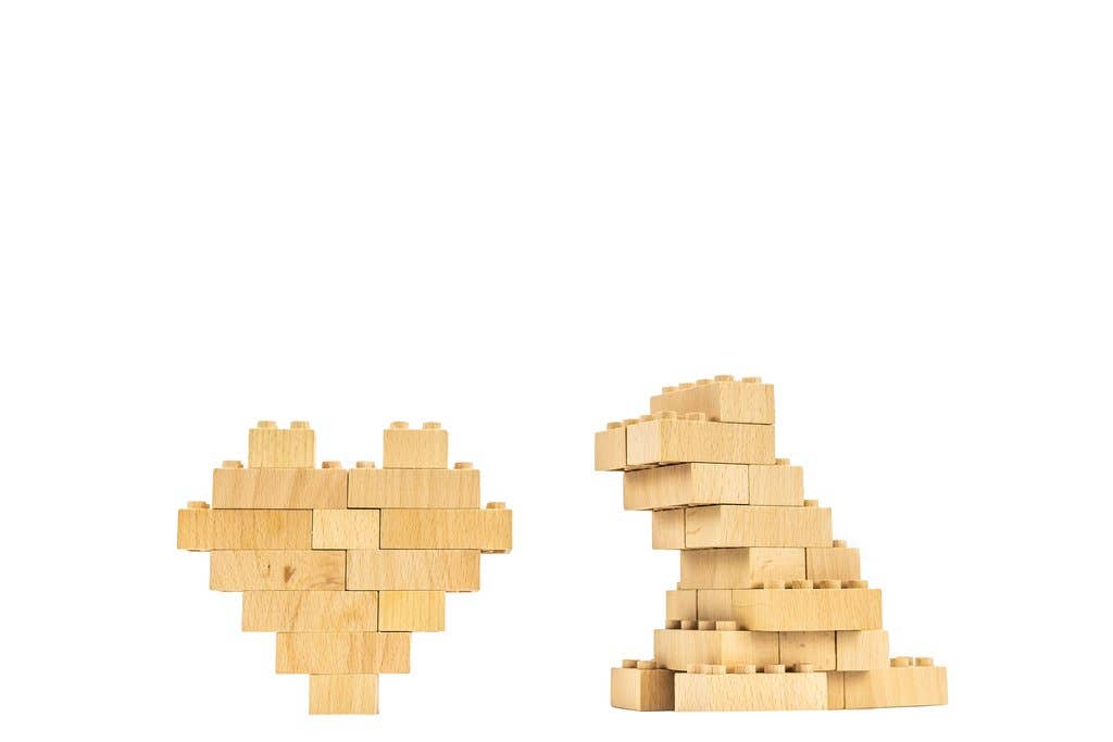 Eco-bricks™ PLUS 20 Piece